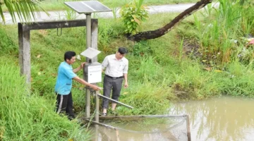 بشرى للمزارعين.. توقعات بحصاد وفير لمحصول الأرز في فصلي الشتاء والربيع